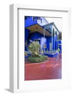 Jardin Majorelle, Owned by Yves St. Laurent, Marrakech, Morocco, North Africa, Africa-Stephen Studd-Framed Photographic Print