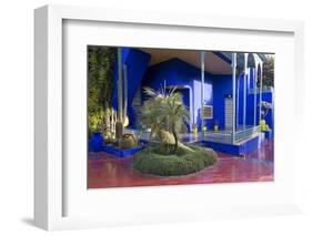 Jardin Majorelle, Owned by Yves St. Laurent, Marrakech, Morocco, North Africa, Africa-Stephen Studd-Framed Photographic Print