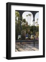 Jardin Majorelle, Owned by Yves St. Laurent, Marrakech, Morocco, North Africa, Africa-Stephen Studd-Framed Photographic Print