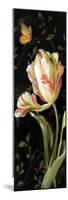 Jardin Paris Florals II-Danhui Nai-Mounted Premium Giclee Print
