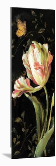 Jardin Paris Florals II-Danhui Nai-Mounted Premium Giclee Print