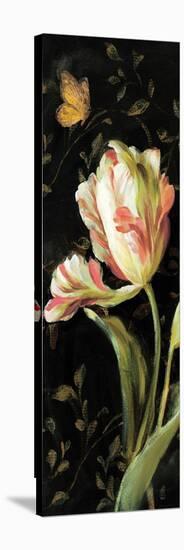 Jardin Paris Florals II-Danhui Nai-Stretched Canvas