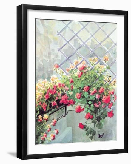 Jardin10-null-Framed Art Print