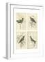 Jardine Hummingbirds-null-Framed Art Print