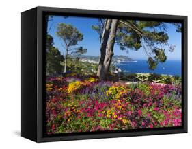 Jardins Botanico De Cap Roig, Calella De Palafrugell, Costa Brava, Catalonia, Spain, Mediterranean,-Stuart Black-Framed Stretched Canvas