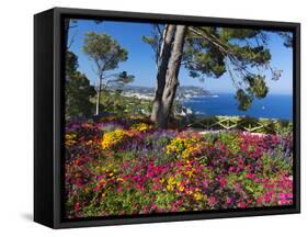 Jardins Botanico De Cap Roig, Calella De Palafrugell, Costa Brava, Catalonia, Spain, Mediterranean,-Stuart Black-Framed Stretched Canvas