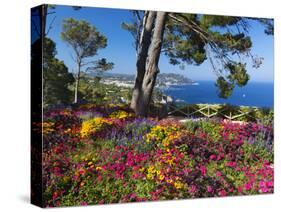 Jardins Botanico De Cap Roig, Calella De Palafrugell, Costa Brava, Catalonia, Spain, Mediterranean,-Stuart Black-Stretched Canvas