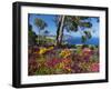 Jardins Botanico De Cap Roig, Calella De Palafrugell, Costa Brava, Catalonia, Spain, Mediterranean,-Stuart Black-Framed Premium Photographic Print