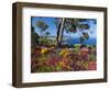 Jardins Botanico De Cap Roig, Calella De Palafrugell, Costa Brava, Catalonia, Spain, Mediterranean,-Stuart Black-Framed Photographic Print