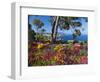 Jardins Botanico De Cap Roig, Calella De Palafrugell, Costa Brava, Catalonia, Spain, Mediterranean,-Stuart Black-Framed Photographic Print