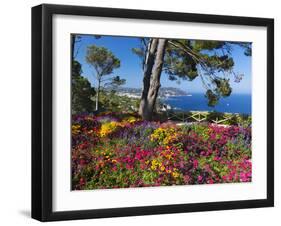 Jardins Botanico De Cap Roig, Calella De Palafrugell, Costa Brava, Catalonia, Spain, Mediterranean,-Stuart Black-Framed Photographic Print
