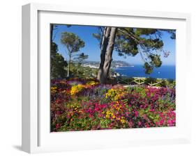 Jardins Botanico De Cap Roig, Calella De Palafrugell, Costa Brava, Catalonia, Spain, Mediterranean,-Stuart Black-Framed Photographic Print