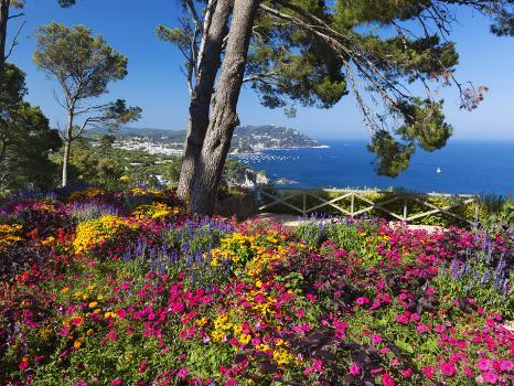 Jardins Botanico De Cap Roig, Calella De Palafrugell, Costa Brava,  Catalonia, Spain, Mediterranean,' Photographic Print - Stuart Black |  AllPosters.com