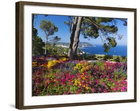 Jardins Botanico De Cap Roig, Calella De Palafrugell, Costa Brava, Catalonia, Spain, Mediterranean,-Stuart Black-Framed Photographic Print