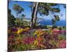 Jardins Botanico De Cap Roig, Calella De Palafrugell, Costa Brava, Catalonia, Spain, Mediterranean,-Stuart Black-Mounted Photographic Print