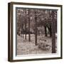 Jardins Des Tuileries - Lull-Bill Philip-Framed Giclee Print