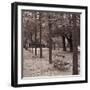 Jardins Des Tuileries - Lull-Bill Philip-Framed Giclee Print