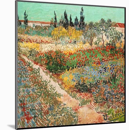 Jardins En Fleurs Avec Sentier-Vincent van Gogh-Mounted Art Print