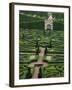 Jardins Et Chateau Villandry, France-Walter Bibikow-Framed Premium Photographic Print