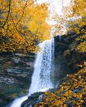 Smoky Mountain Rainbows-Jared Kreiss-Photo