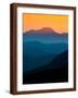 Brown Frame