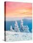Stretched Canvas