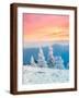 Brown Frame
