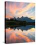 Stretched Canvas