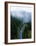 Brown Frame