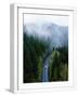 White Frame