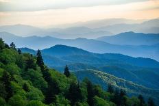 Smoky Mountain Wildlife-Jared Kreiss-Laminated Photo