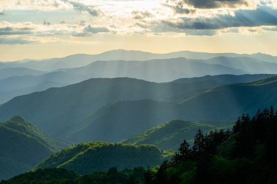 Photo, , large