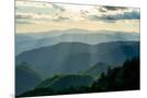 Wood Mount