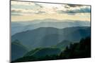 Wood Mount