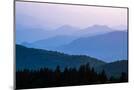 Wood Mount