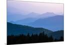 Wood Mount