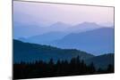 Wood Mount
