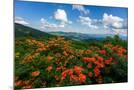 Wood Mount