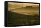 Framed Canvas