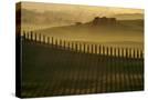 Stretched Canvas