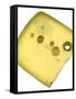 Jarlsberg Cheese (Norway)-Steven Morris-Framed Stretched Canvas