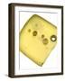 Jarlsberg Cheese (Norway)-Steven Morris-Framed Photographic Print