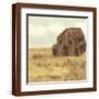 Brown Frame