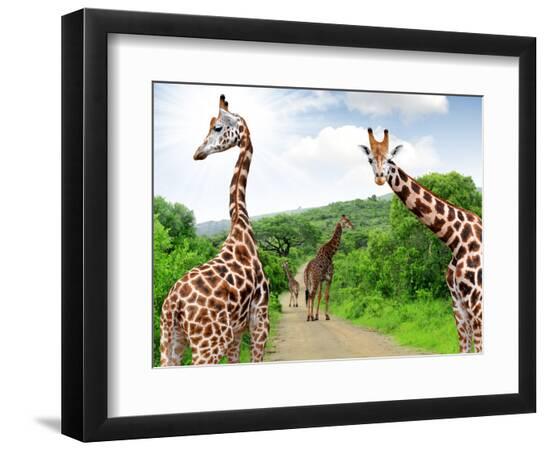 Photographic Print, , large
