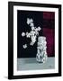 Jarrones con Flores Blancas II-Cano-Framed Art Print