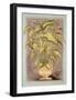 Jarrones Plantas I-L^ Romero-Framed Art Print