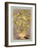 Jarrones Plantas I-L^ Romero-Framed Art Print