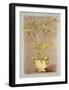 Jarrones Plantas II-L^ Romero-Framed Art Print