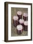 Jars of blackberry jam with household wax (paraffin) on top to act as a seal.-Janet Horton-Framed Photographic Print