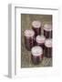 Jars of blackberry jam with household wax (paraffin) on top to act as a seal.-Janet Horton-Framed Photographic Print